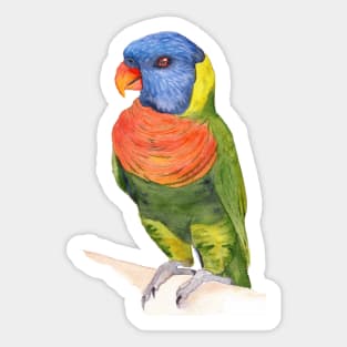 rainbow lorikeet parrot australian bird watercolor Sticker